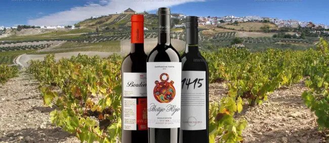 Garnacha