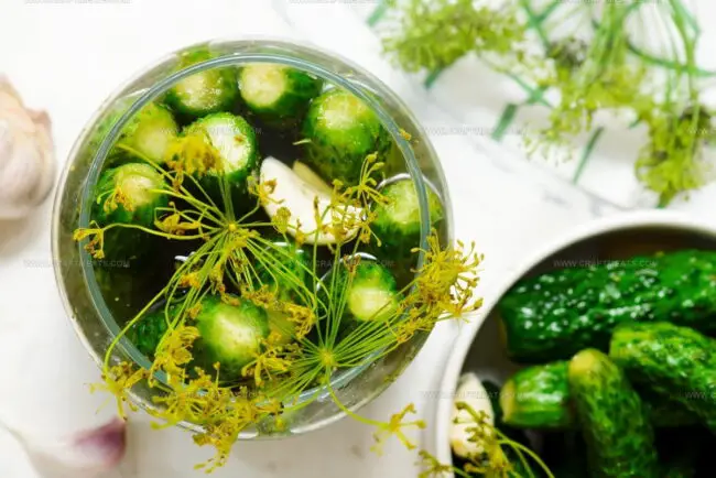 Refrigerator Dill Pickles