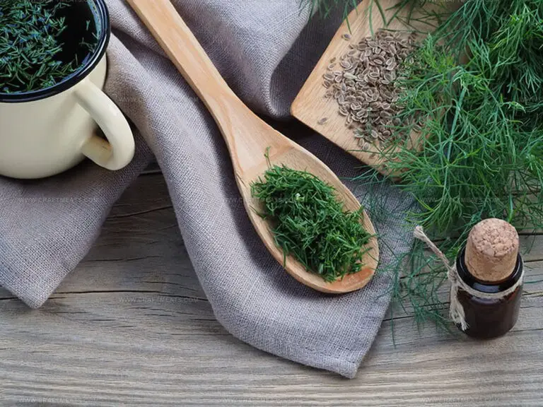 Dill Weed or Dill Seed: Know the Real Difference