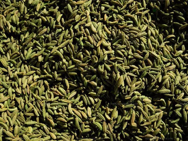 Tarragon Alternatives in French vs. Mediterranean Cuisine