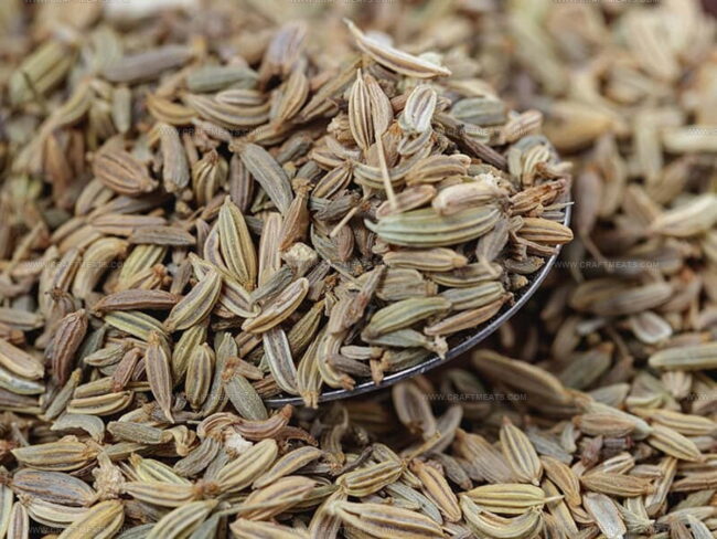 Fennel Seeds or Fronds
