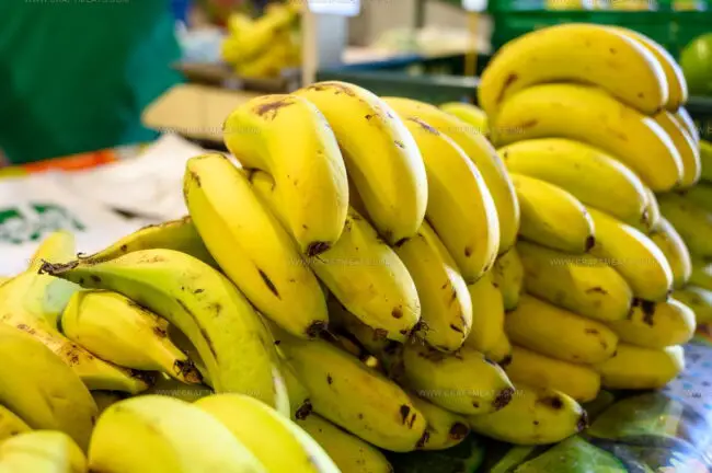 Platano De Canarias