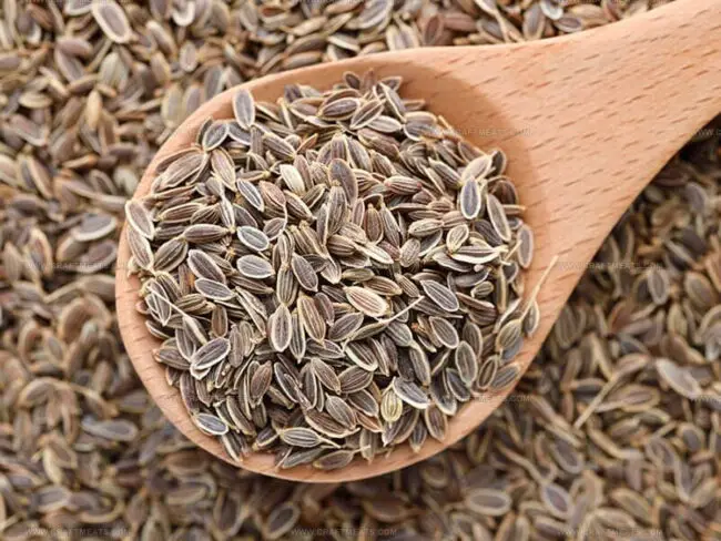 How to Store Dill