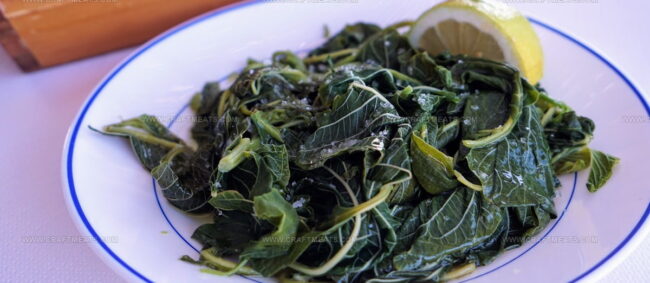 Horta