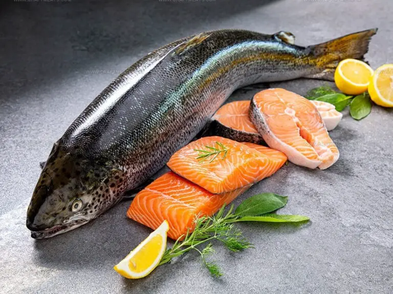 Atlantic or Pacific Salmon: Which Fillet to Choose?