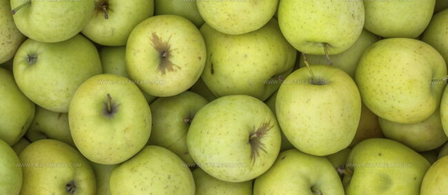 Manzana Reineta Del Bierzo